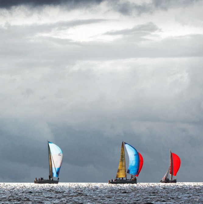 Photo Voiliers sous spi  par Philip Plisson