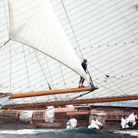 Sous le vent, Les Voiles de Saint-Tropez