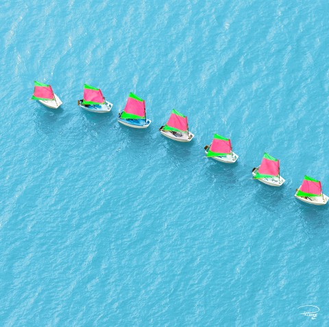 Photo Optimist en ligne, école de voile par Philip Plisson