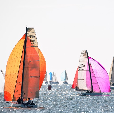 Photo Régate sous spi en baie de Quiberon par Philip Plisson