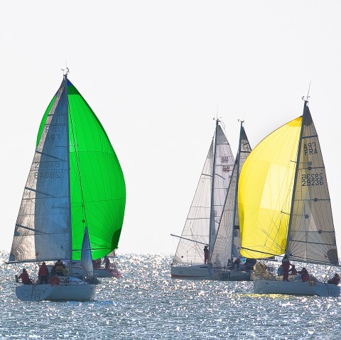 Photo Régate sous spi en baie de Quiberon par Philip Plisson