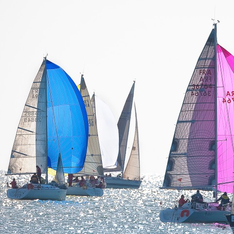 Photo Régate sous spi en baie de Quiberon par Philip Plisson