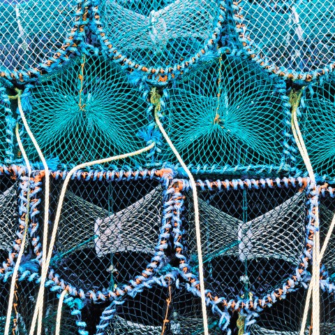 Photo Casiers et filets de pêche par Philip Plisson