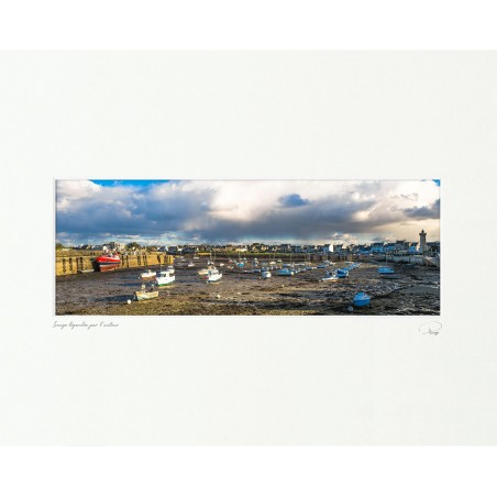 Roscoff, marée basse, Finistère, Bretagne