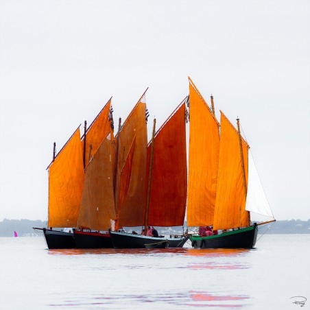 En attendant la Semaine du Golfe, Sinagots