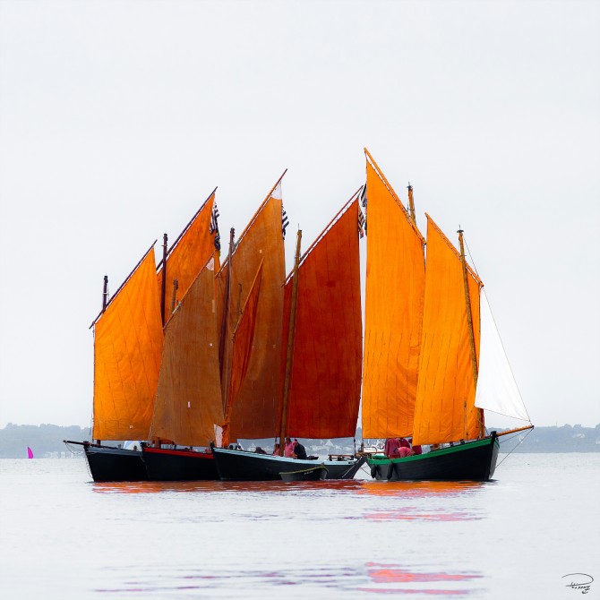 En attendant la Semaine du Golfe, Sinagots Photo En attendant la Semaine du Golfe, Sinagots par Philip Plisson