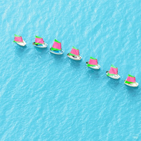Photo L'école de voile des optimists par Philip Plisson