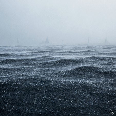 Grain en mer