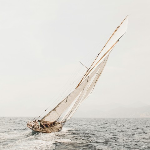 Photo Mariquita, auric cutter par Philip Plisson