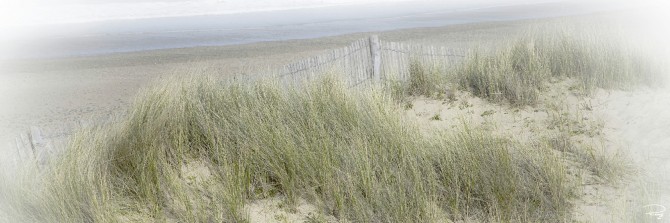 Photo Les dunes d'Erdeven, Morbihan, Bretagne par Philip Plisson