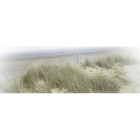 Les dunes d'Erdeven, Morbihan, Bretagne