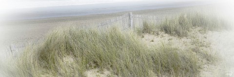 Photo The dunes of Erdeven, Morbihan, Brittany par Philip Plisson