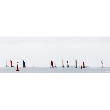 Régate de vieux gréements en baie de Quiberon, Bretagne
