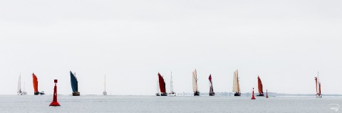 Photo Régate de vieux gréements en baie de Quiberon, Bretagne par Philip Plisson