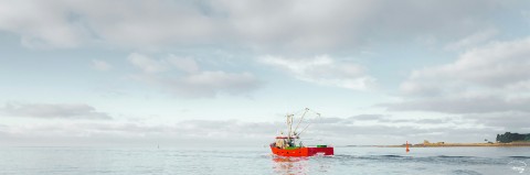 Photo Départ en pêche, La Trinité-sur-Mer, Bretagne par Philip Plisson