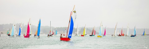 Photo Régate de guépards dans le Golfe du Morbihan, Bretagne par Philip Plisson
