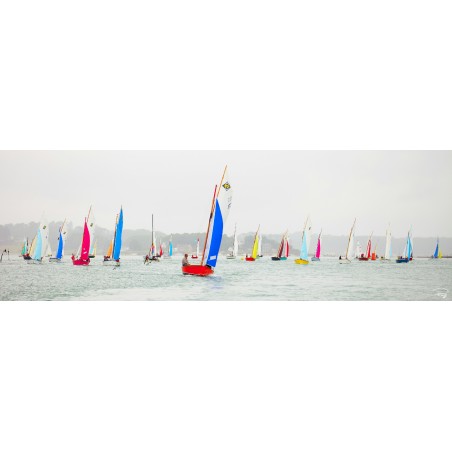 Régate de guépards dans le Golfe du Morbihan, Bretagne