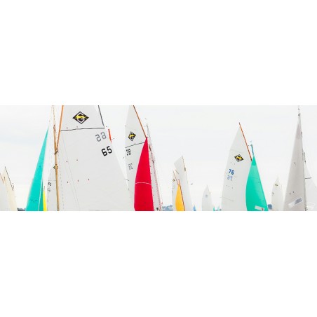 Voiles de guépards dans le Golfe du Morbihan, Bretagne