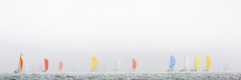 Photo Regatta under spinnaker par Philip Plisson