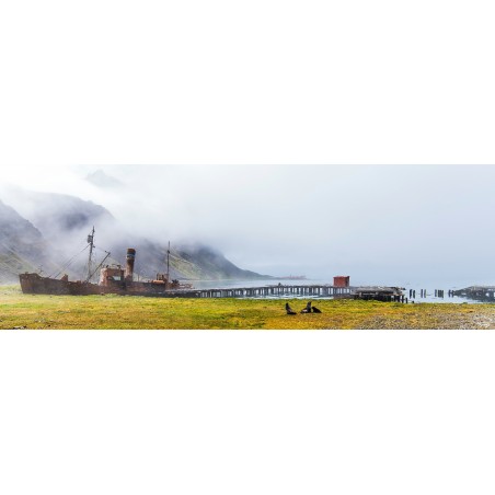 Grytviken, Géorgie du Sud