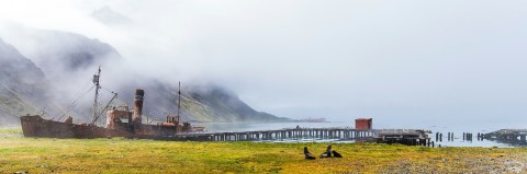 Photo Grytviken, Géorgie du Sud par Philip Plisson