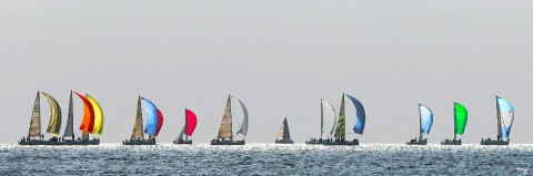 Photo Regatta under spinnaker par Philip Plisson