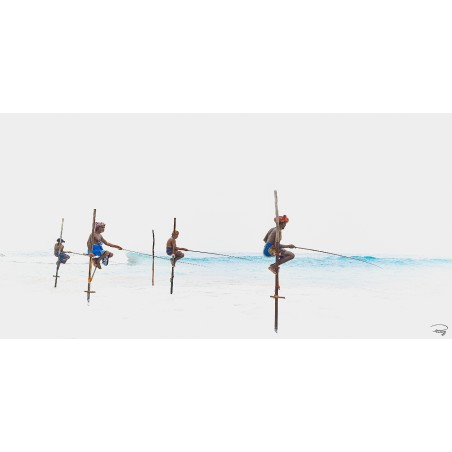 Pêcheurs sur échasses, Sri Lanka
