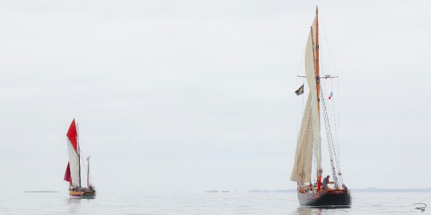 Photo Vieux gréements au petit matin par Philip Plisson