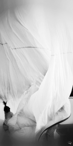 Photo Hauling down, classic yacht par Philip Plisson