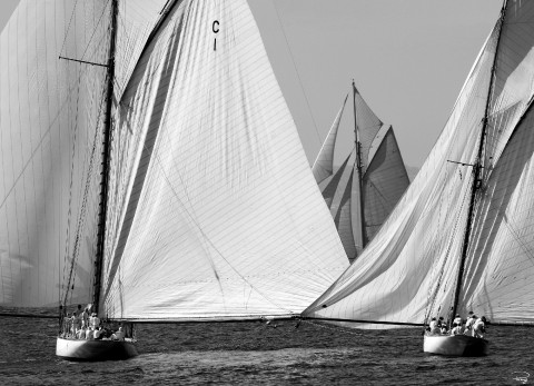 Photo Mur de voiles, classique yacht par Philip Plisson