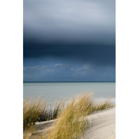 Dunes sur la côte d'Opal