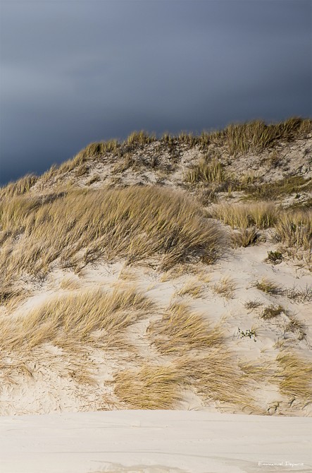Photo Dunes sur la côte d'Opal par Emmanuel Deparis