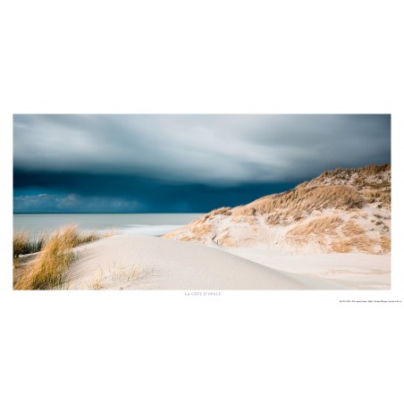 Dunes sur la côte d'Opal