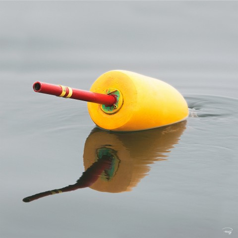 Photo Bouée jaune par Philip Plisson