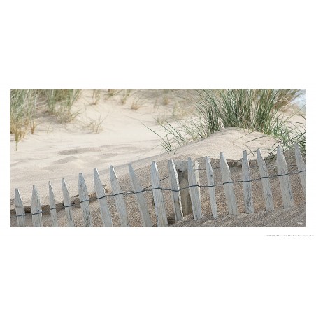 Dans les dunes, Bretagne