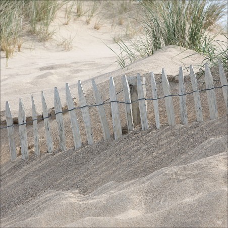 Dans les dunes, Bretagne