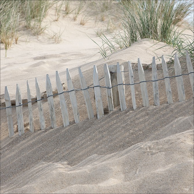Photo Dans les dunes, Bretagne par Philip Plisson