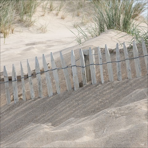 Photo In the dunes, Brittany par Philip Plisson