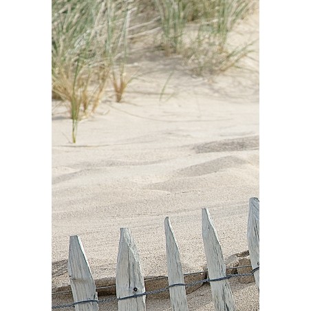 Dans les dunes, Bretagne