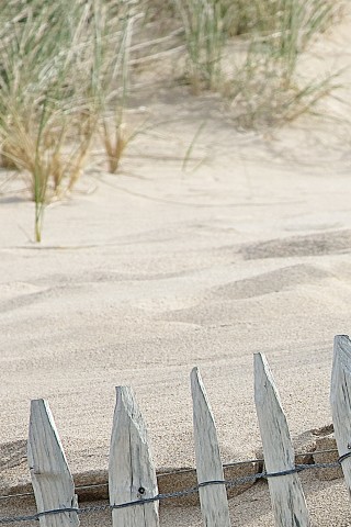 Photo Dans les dunes, Bretagne par Philip Plisson