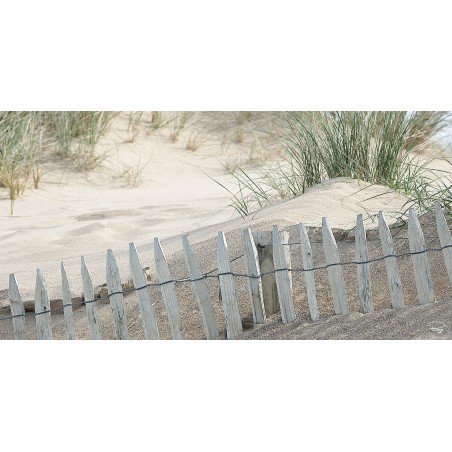 Dans les dunes, Bretagne