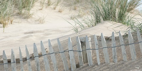 Photo Dans les dunes, Bretagne par Philip Plisson