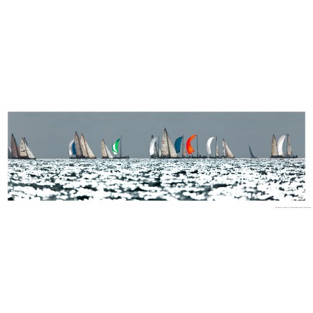 Régate sous spi en baie de Quiberon