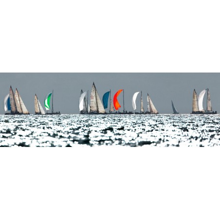 Régate sous spi en baie de Quiberon