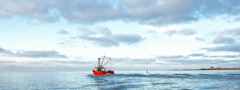 Photo Petite pêche, la Trinité-sur-Mer, Bretagne par Philip Plisson