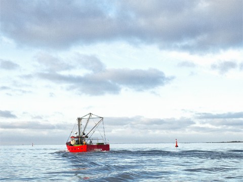Photo Petite pêche, la Trinité-sur-Mer, Bretagne par Philip Plisson