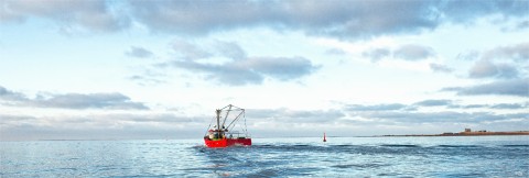 Photo Coastal fishing, la Trinité-sur-Mer, Brittany par Philip Plisson