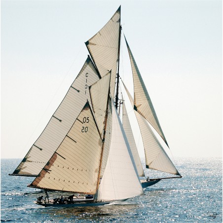 Bord à bord, voiliers de légende
