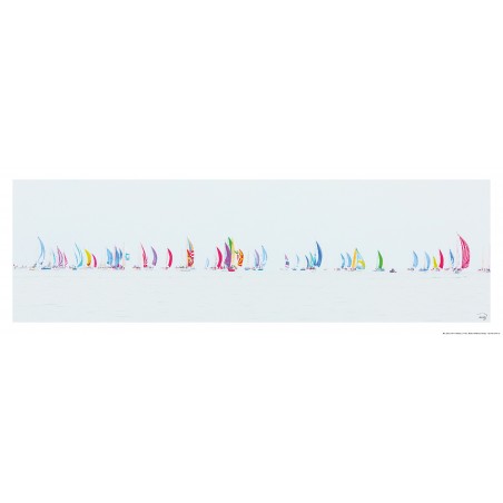 Voiliers sous spi, régate en baie de Quiberon