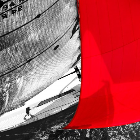 Voilier en régate sous spi rouge